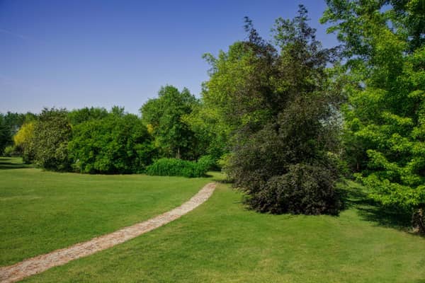 Parco Parkjuniorhotel Quartodaltino 05