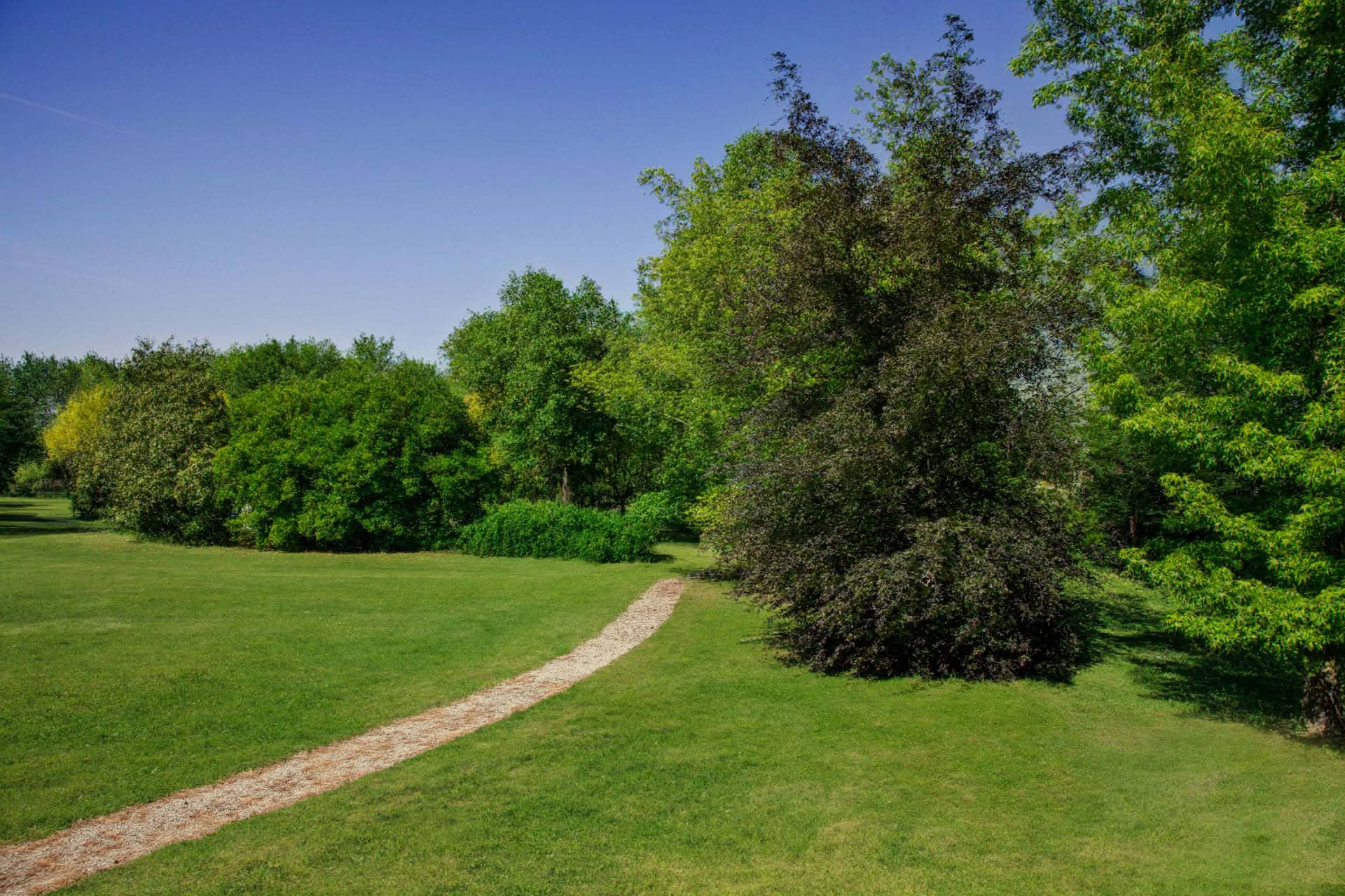 Parco Parkjuniorhotel Quartodaltino 05