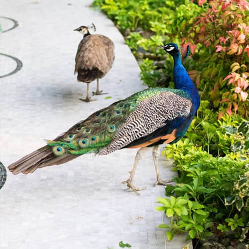 Immagine - 43ebd82c-07f9-4a5f-a356-0c00c6cbc29d