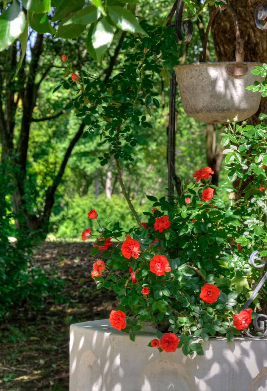 Parco Parkjuniorhotel Quartodaltino 01 V