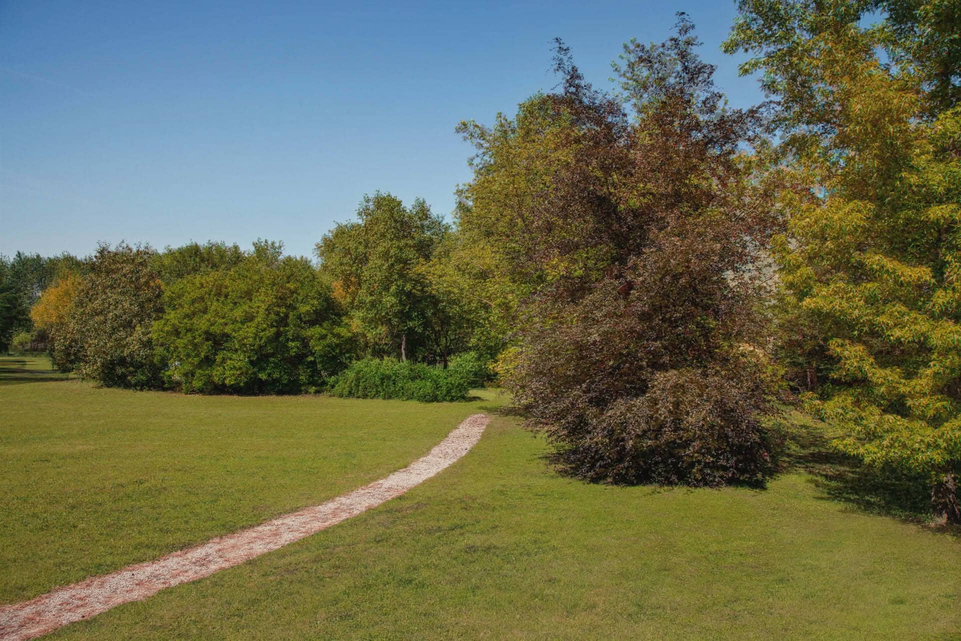 Image - 892cb6ea-e61b-4207-bd85-52ee60013201